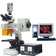 电脑型生物荧光显微镜