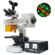 数码型生物荧光显微镜