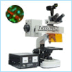 荧光显微镜 CFM-100AZ(增强型)