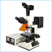 荧光显微镜 CFM-330Z(数码型)